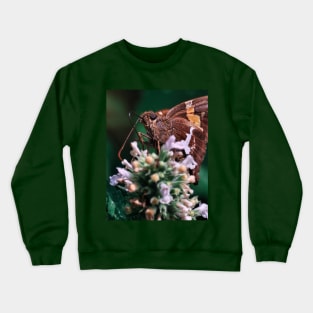 Silver-Spotted Skipper Butterfly. Macro Photograph Crewneck Sweatshirt